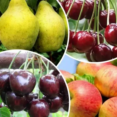 Комплект НАСЛАЖДЕНИЕ в Рогачеве