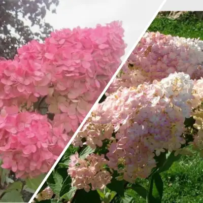 Комплект МНОГОГРАННОСТЬ в Рогачеве