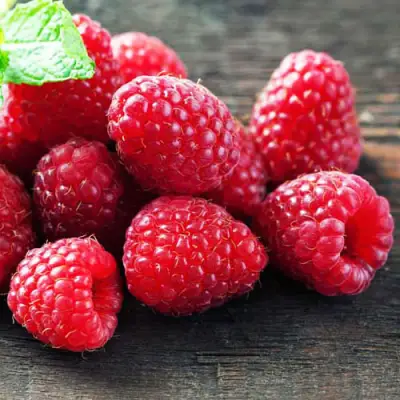 Малина ЭРИКА в Рогачеве