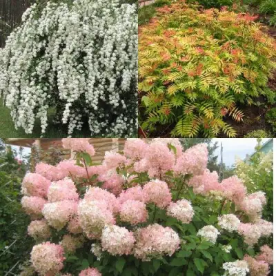 Комплект ФЕЙЕРВЕРК ЛЕТА в Рогачеве