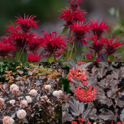 Комплект ОГНЕННЫЙ МИКС в Рогачеве