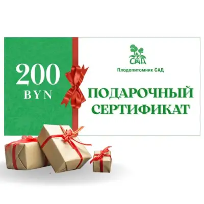 Подарочный сертификат на 200 BYN в Рогачеве