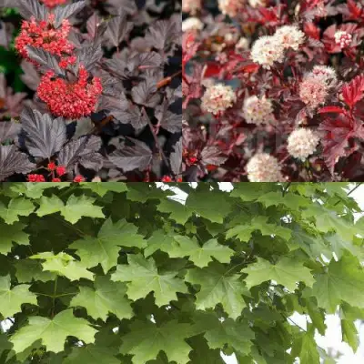 Комплект ОСЕННИЙ КОСТЕР в Рогачеве