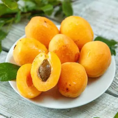 Абрикос АНАНАСНЫЙ в Рогачеве