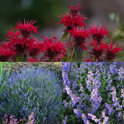 Комплект АРОМАТНЫЙ ЧАЙ в Рогачеве