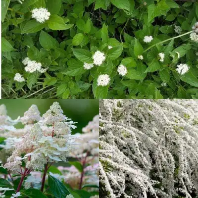 Комплект СКАНДИНАВСКИЙ СТИЛЬ в Рогачеве