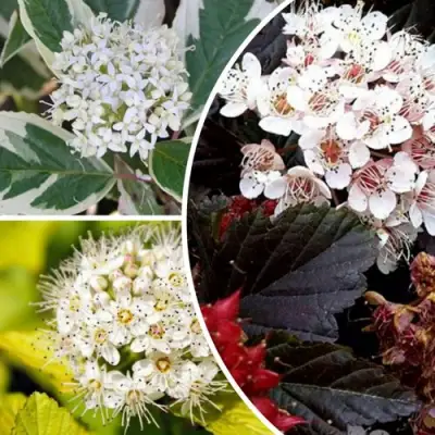 Комплект ЯРКАЯ ВСПЫШКА в Рогачеве