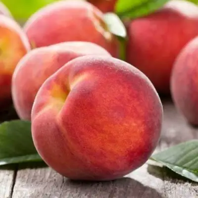 Персик МАЙСКИЙ ЦВЕТОК в Рогачеве