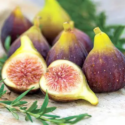 Инжир НИКИТСКИЙ в Рогачеве