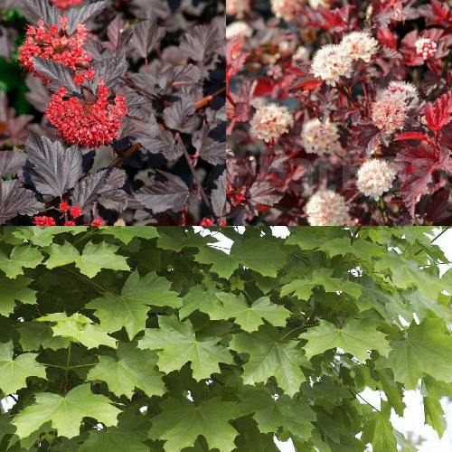 Комплект ОСЕННИЙ КОСТЕР в Рогачеве