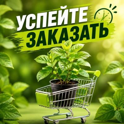 УСПЕЙТЕ ЗАКАЗАТЬ УСПЕЙТЕ ЗАКАЗАТЬ в Рогачеве