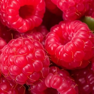 Красная в Рогачеве