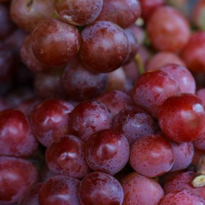 Красный в Рогачеве