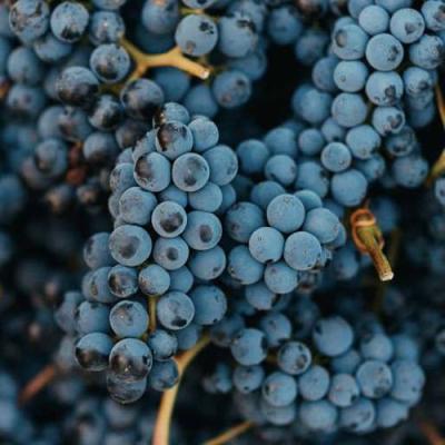 Технический в Рогачеве